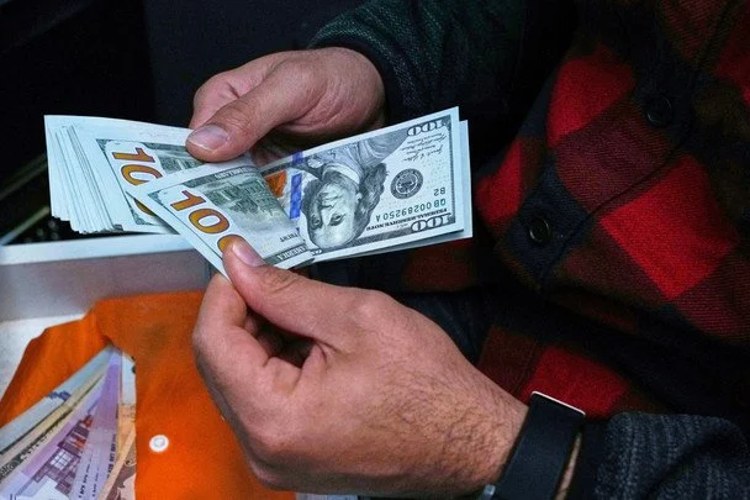 Долар 44,67 грн і євро 51,05 грн: цифри курсу НБУ на 14 липня