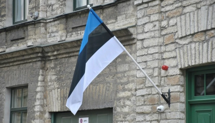 Понад 300 мігрантів затримано в Естонії: у країні готують нові санкції